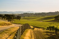 Larry Wilson: California vintners don’t like taxing wines from the EU