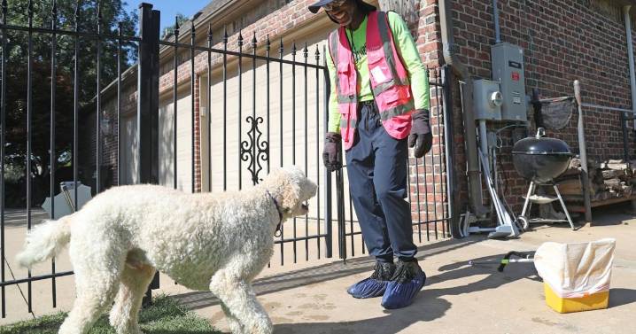 Meet the owner of two companies who will pick up your dog's poop