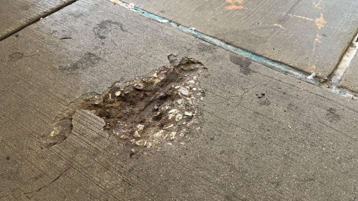 See the ‘Squirrel hole,’ Chicago’s latest concrete rodent imprint