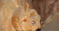 'Unicorn human' lived alongside Neanderthals after ground
