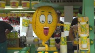 Canfield Fair attendance surges, vendors adapt to higher costs