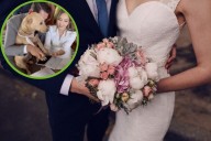Video viral: Perrito destaca como testigo en boda civil de sus dueños