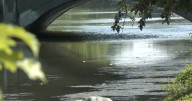 Residents in Rocky Ripple share concerns after seeing rise in water levels at Central Canal
