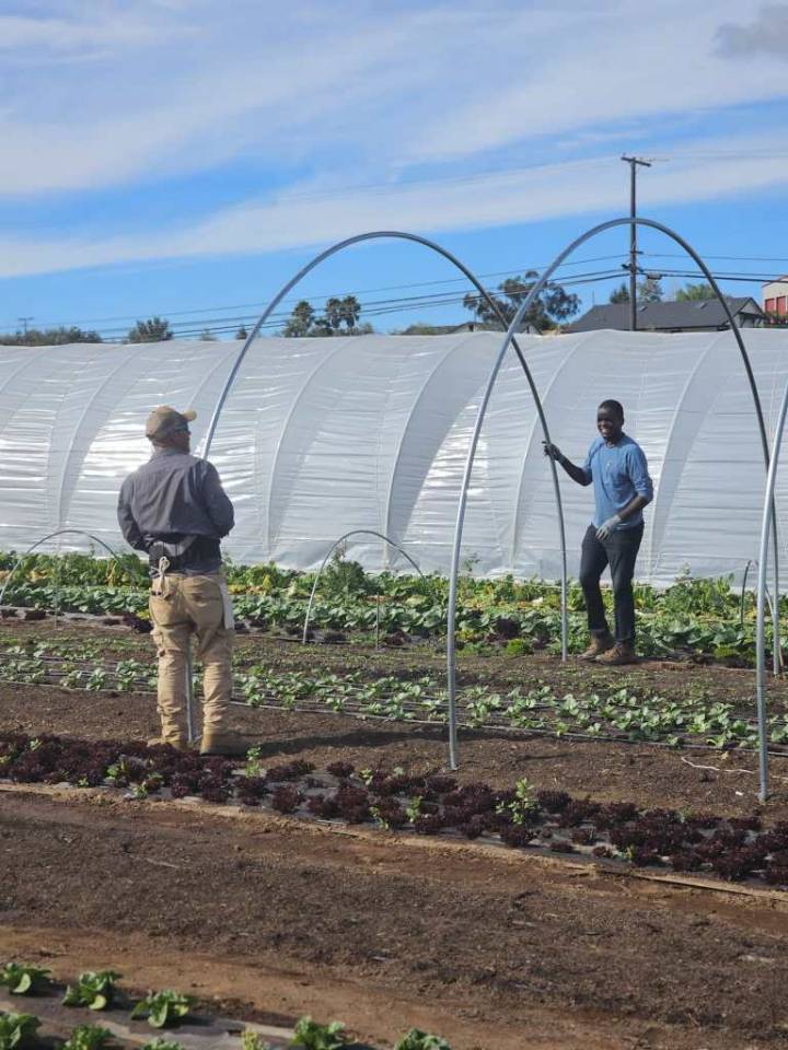 Navore Market launches SD’s first online marketplace for food, farmers