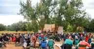 FreeBard: Shakespeare in the Wild is flying high in Year 4