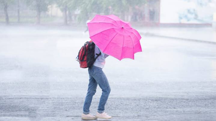 Hay alerta amarilla por fuertes vientos y ráfagas de hasta 80 km/h en Buenos Aires y otras siete provincias