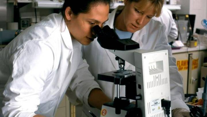 In Vivo Vs In Vitro: What Do They Actually Mean?