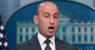 Stephen Miller’s Hairline in the Spotlight as Trump Henchman Finally Turns 40