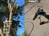Tragedia en La Plata: un jubilado de 86 años murió tras cortarse con una motosierra mientras podaba un árbol en su casa