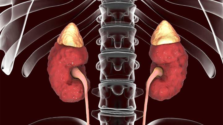 New Guideline Puts Some at the Front of the Line for GLP