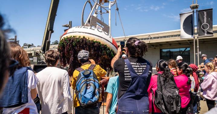 Exploratorium dives into SF ecosystems with Bay Day event