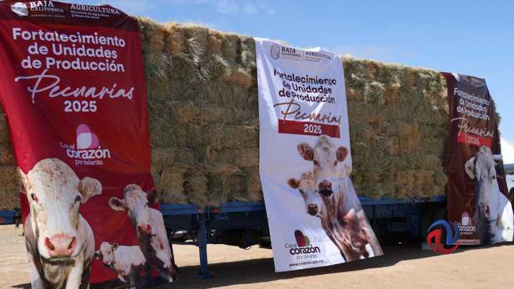 Marina del Pilar entregó apoyos pecuarios y rurales en Villa de Jesús María