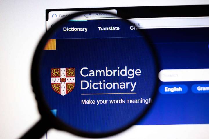 'Delulu' and 'Tradwife' Among New Words Added to Cambridge Dictionary