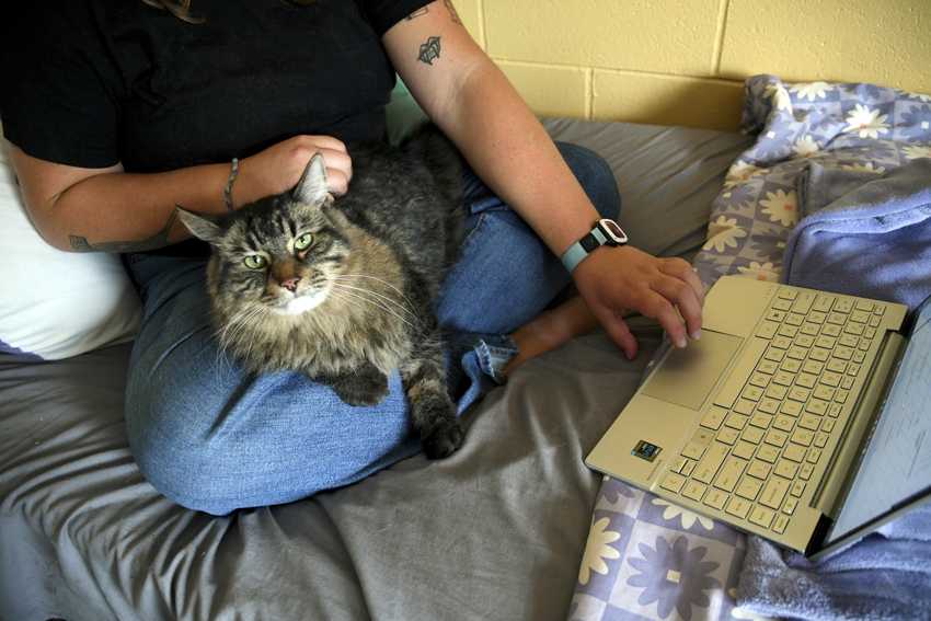 Colleges expand pet-friendly dorms to support students