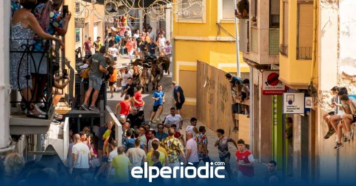 Este sábado arrancan los actos taurinos de las Fiestas del Cristo de l’Alcora con el encierro de 6 toros cerriles