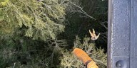 National Guard rescues hiker from Great Smoky Mountains National Park