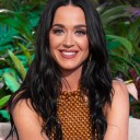Katy Perry, Orlando Bloom Breakup: Fan Concert Interaction