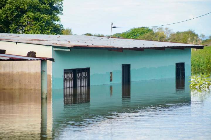 Vichada bajo el agua: una emergencia repetida y una gestión del riesgo aún pendiente