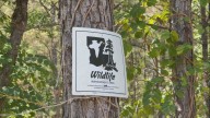 LDWF looking for possible wildlife impacts from explosion ahead of hunting season