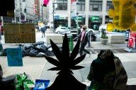 Cannabis in the City: CJEI Launches Groundbreaking TV Broadcast