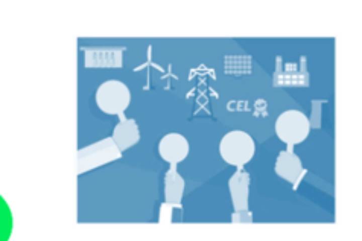 Réquiem por las Subastas Eléctricas de Largo Plazo