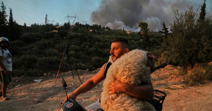 Europe's summer wildfires break terrifying record as 1 MILLION hectares scorched