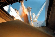 Los dólares del campo. Calculan que hasta fin de año llegarán US$10.154 millones por exportaciones agrícolas