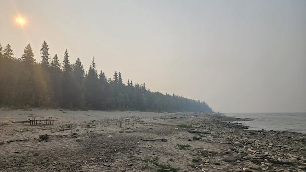Air quality warnings issued for Edmonton, much of northern Alberta