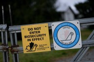 B.C. to fund upgrades to reduce avian flu risk for Fraser Valley poultry farms