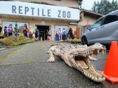 WA families bid a warm-hearted farewell to the cold-blooded creatures at the Reptile Zoo