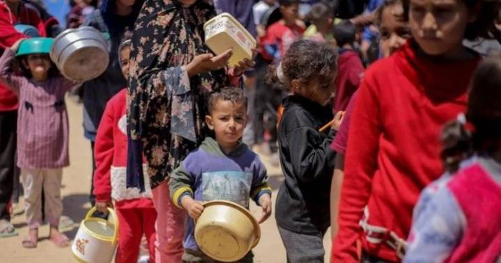 Ya son 227 los muertos relacionados con la desnutrición en Gaza, afirmó la ONU
