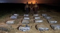 Detenido en Falcón con 800 envoltorios de marihuana