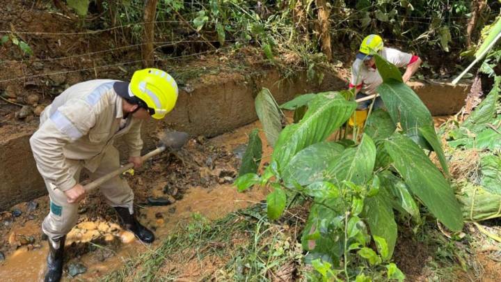 ¡Un legado verde para Medellín! Con más de 1.600 intervenciones, el Distrito avanza en la limpieza de zonas verdes y puntos críticos