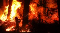 Incendios forestales activos en Castilla y León, en directo: carreteras cortadas, trenes interrumpidos, desalojos y heridos