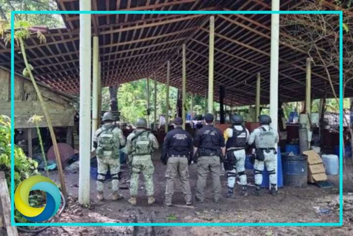 Aseguran cerca de 900 kilos de metanfetamina en Chiapas
