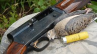 Dove season: Where to hunt doves on public land in Mississippi