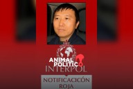 Interpol emite ficha roja a Zhi Dong Zhang, chino que se fugó en CDMX; acusado de tráfico de drogas