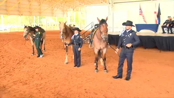 Miami Police celebrates graduation of several new members of mounted patrol units