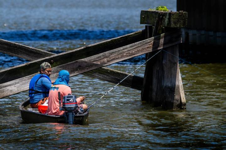 Experts Slam Chesapeake Bay Draft Plan Over Lack of Pollution Targets and Accountability