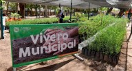 Invitan al taller ‘Una Semilla x Hermosillo’ para aprender sobre especies nativas, técnicas de germinación y reforestación