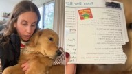 Dog Gets His Report Card From Ohio Daycare, His Reaction Warms Hearts