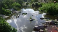 Como los paisajes más famosos de Europa: el mágico destino de Córdoba que enamora con su naturaleza