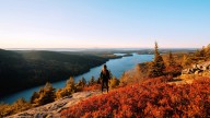 “The Current Conditions Aren’t Sustainable”: Popular National Park's Staffing Shortage Leaves Passes Unchecked And Desks Empty 