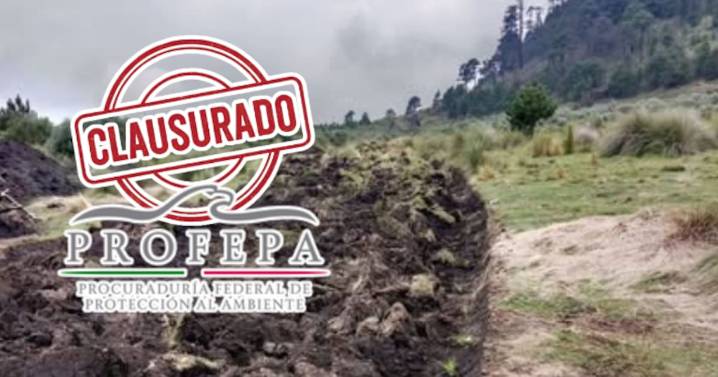 Obra ilegal en zona forestal: Profepa clausura construcción en Edomex por riesgo ambiental