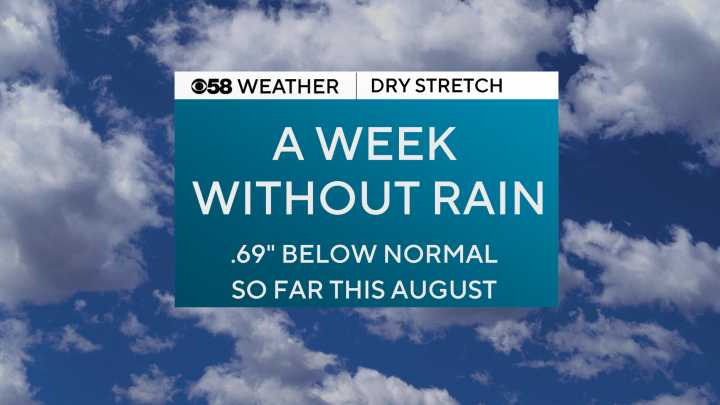 A little warmer and more humid each day with persistent storm chances