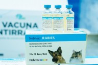 VanCan 2025: Minsa distribuirá 3.5 millones de dosis de vacuna en campaña nacional