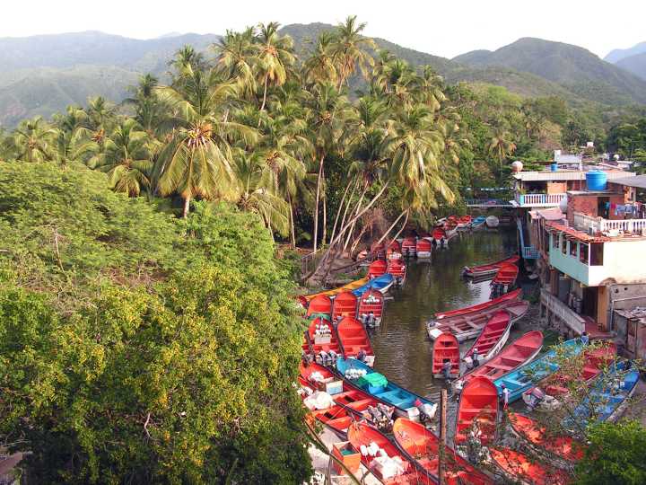 ULA realizará Estudios de Impacto Ambiental en el Parque Nacional Henri Pittier
