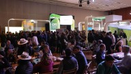 Congreso internacional de maíz: todas las respuestas para la próxima campaña