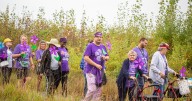 Walk to End Alzheimer's in Rochester aims to raise $150,000