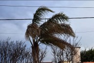 Amplían el alerta amarilla por vientos fuertes para gran parte de Entre Ríos